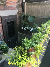 15 Medford St, Unit 1 in Chelsea, MA - Building Photo - Building Photo