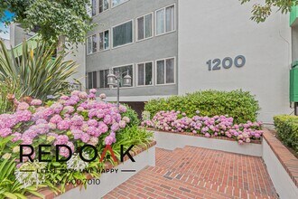 1200 N Olive Dr in West Hollywood, CA - Building Photo - Building Photo