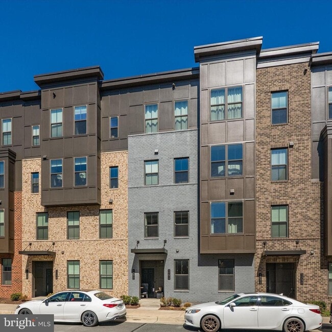 44674 Provincetown Dr in Ashburn, VA - Building Photo - Building Photo