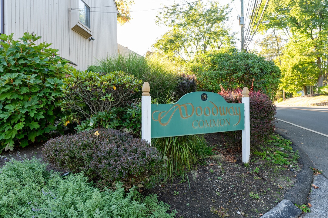 19 Woodway Rd in Stamford, CT - Building Photo