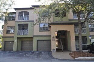 13245 Sanctuary Cove Dr in Temple Terrace, FL - Building Photo