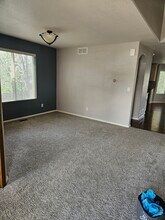 2353 Aral Dr in Longmont, CO - Foto de edificio - Building Photo