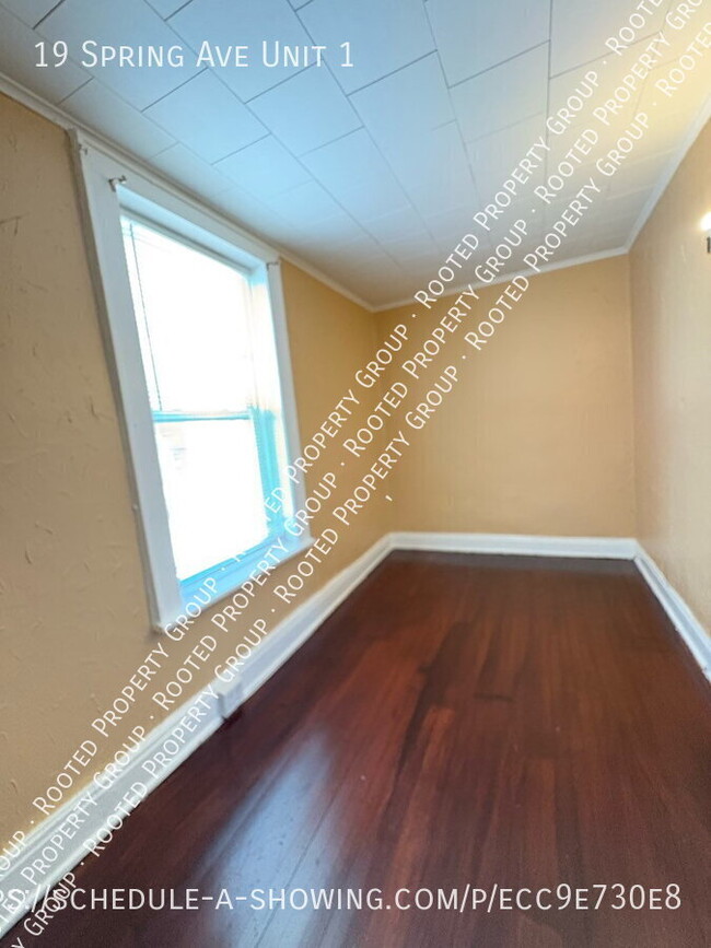19 Spring Ave-Unit -1 in Troy, NY - Building Photo - Building Photo