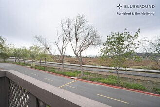 243 Rock Harbor Ln in Foster City, CA - Building Photo - Building Photo