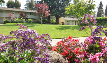 Parkwood Apartments in Sunnyvale, CA - Building Photo - Building Photo