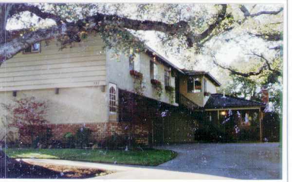 131 Carlton Ave in Los Gatos, CA - Foto de edificio - Building Photo