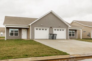 Tiny Town Village Senior