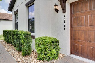16844 Whisper Elm St in Wimauma, FL - Building Photo - Building Photo