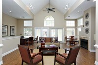 Tranquility Grove photo'