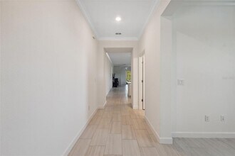 16787 Shell Bay Dr in Land O Lakes, FL - Building Photo - Building Photo