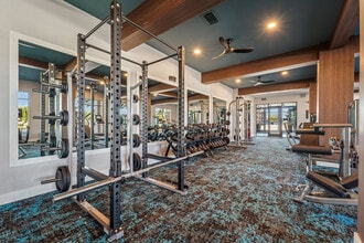 Davy in Stafford, TX - Foto de edificio - Building Photo