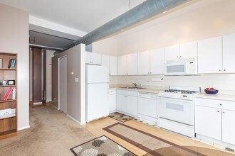 5200 S Ellis Ave, Unit 312 in Chicago, IL - Building Photo - Building Photo