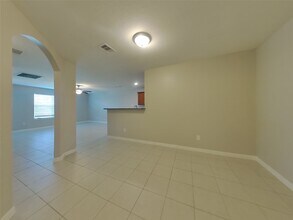317 Summer Horse Dr in La Marque, TX - Building Photo - Building Photo