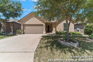 property at 26923 Camellia Trce