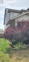 119 Harding St in Kitchener, ON - Building Photo - Building Photo