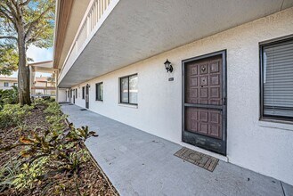 141 Lakeview Way in Oldsmar, FL - Building Photo - Building Photo
