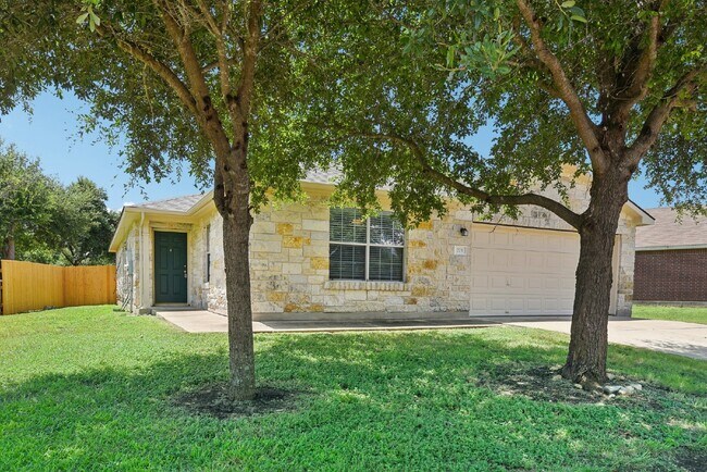 223 Meadow Park Dr in Georgetown, TX - Building Photo - Building Photo