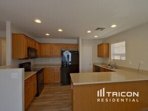 40155 W Thornberry Ln in Maricopa, AZ - Building Photo - Building Photo