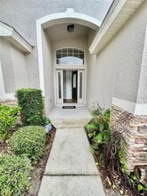 9226 Pecky Cypress Way in Orlando, FL - Building Photo - Building Photo