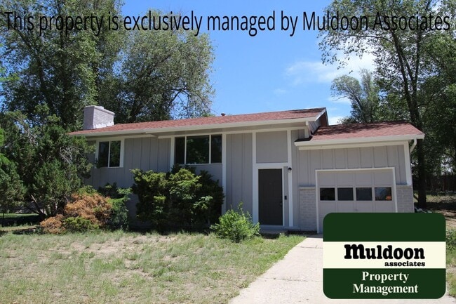 3225 Whimsical Pl in Colorado Springs, CO - Building Photo - Building Photo