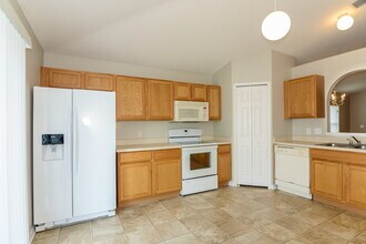 17047 Ongar Ct in Land O Lakes, FL - Building Photo - Building Photo