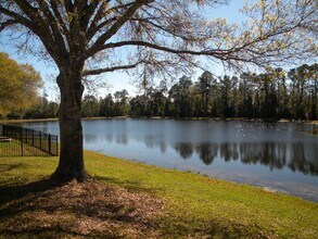 18221 Corner Meadow Cir in Orlando, FL - Building Photo - Building Photo
