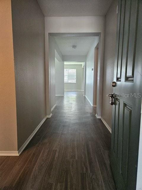 4432 Barbados Loop in Clermont, FL - Building Photo - Building Photo
