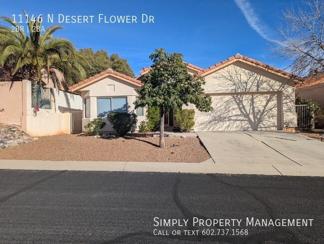 property at 11146 N Desert Flower Dr