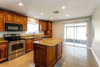 11841 Hickorynut Dr in Tampa, FL - Building Photo - Building Photo