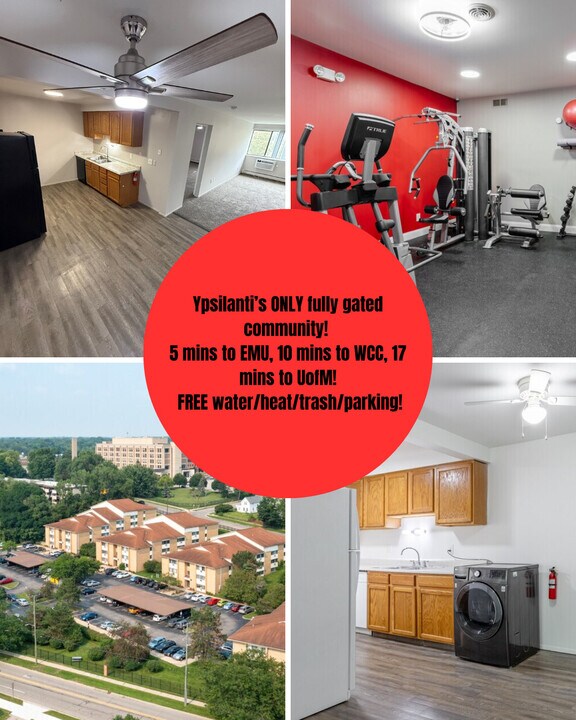 The Red Lion in Ypsilanti, MI - Building Photo