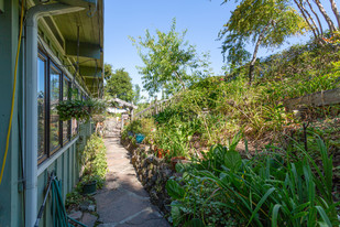 5500 Nicasio Valley Rd in Nicasio, CA - Foto de edificio - Building Photo