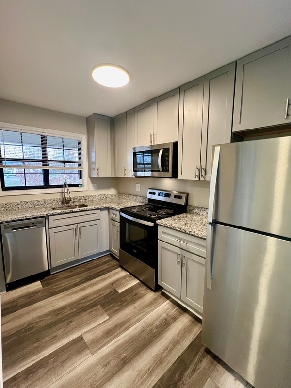 593 Star Light Dr in Fort Mill, SC - Building Photo - Building Photo
