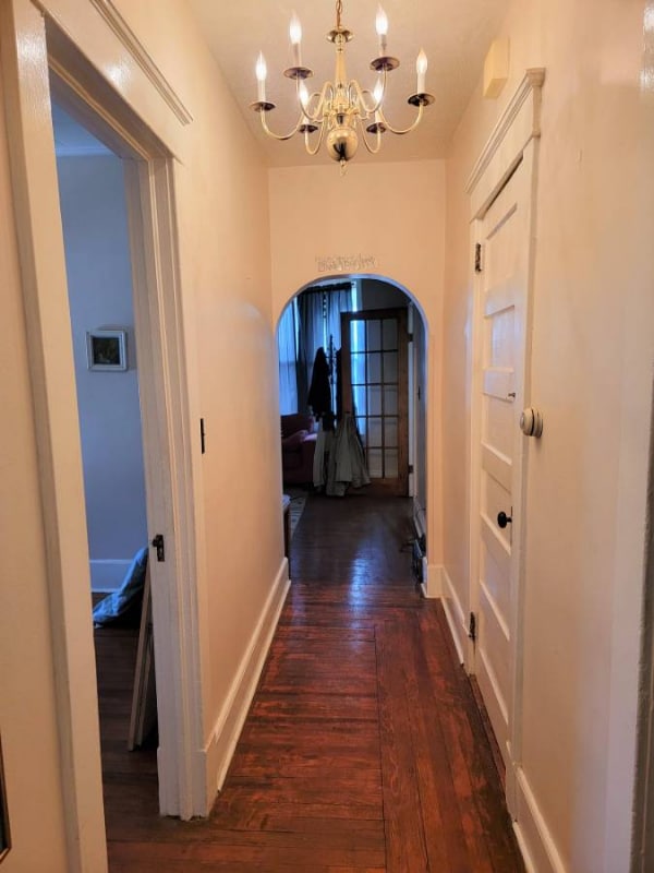 property at 19 Idlewild Park