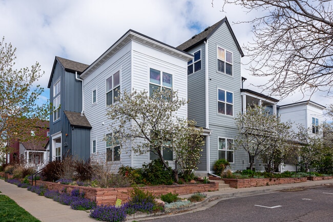 property at 1575 Zamia Ave