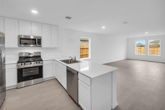21927 Valentines Vine Dr in Houston, TX - Building Photo - Building Photo
