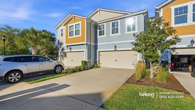 17806 Althea Blue Pl in Lutz, FL - Foto de edificio - Building Photo
