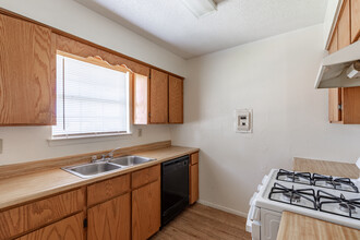 Ivy Terrace Apartments in McAllen, TX - Building Photo - Interior Photo