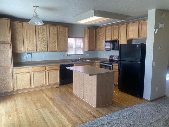 12140 S Grass River Ct in Parker, CO - Building Photo - Building Photo