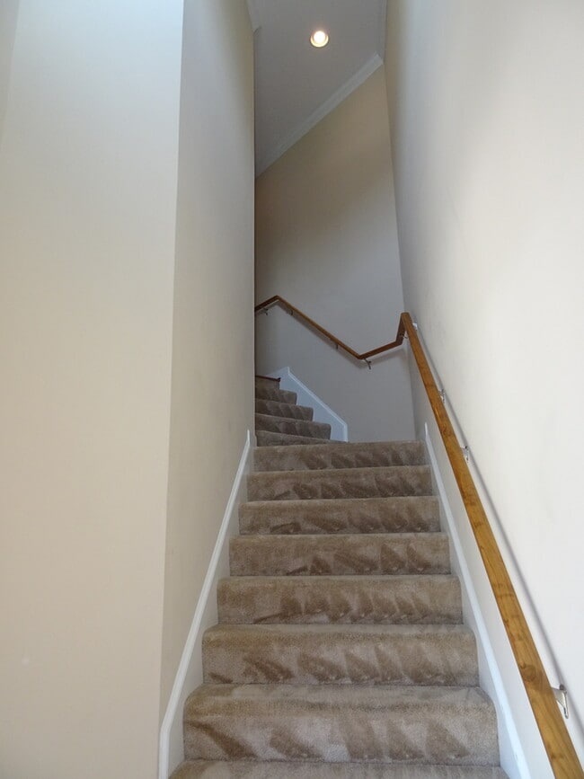 802 Braemar Creek in Williamsburg, VA - Building Photo - Building Photo