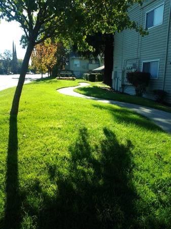 ASHLEY PARK APARTMENTS in Stockton, CA - Building Photo - Building Photo