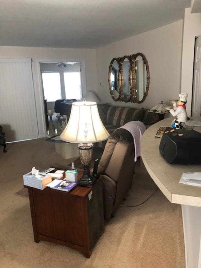 property at 270 S Linden Ct