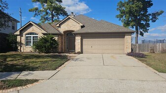 2010 Louetta Spring Dr in Spring, TX - Building Photo