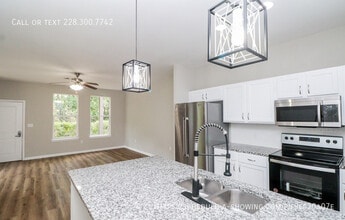 511 Olive Branch Way in Oxford, MS - Building Photo - Building Photo