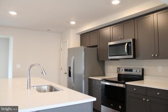 517 Merganser Wy in Cambridge, MD - Building Photo - Building Photo