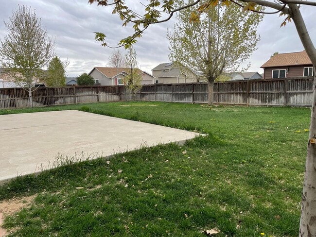 494 S Tamera Ave in Milliken, CO - Building Photo - Building Photo