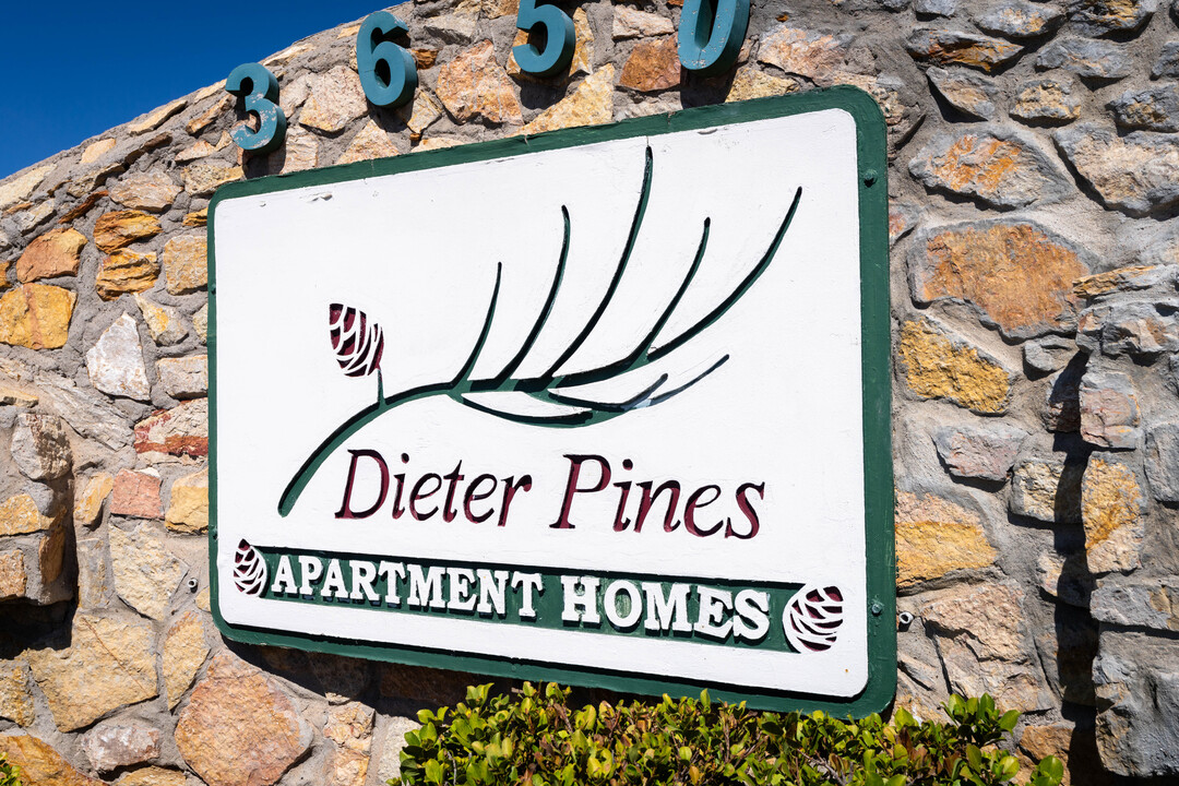 Dieter Pines Apartments in El Paso, TX - Building Photo