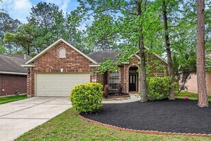 59 Hidden Meadow Dr in Spring, TX - Building Photo