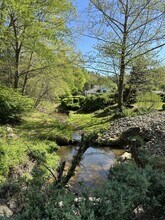 14 Willow Tree Run in Asheville, NC - Building Photo - Building Photo