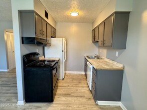 3108 Springfield Dr in Louisville, KY - Building Photo - Building Photo