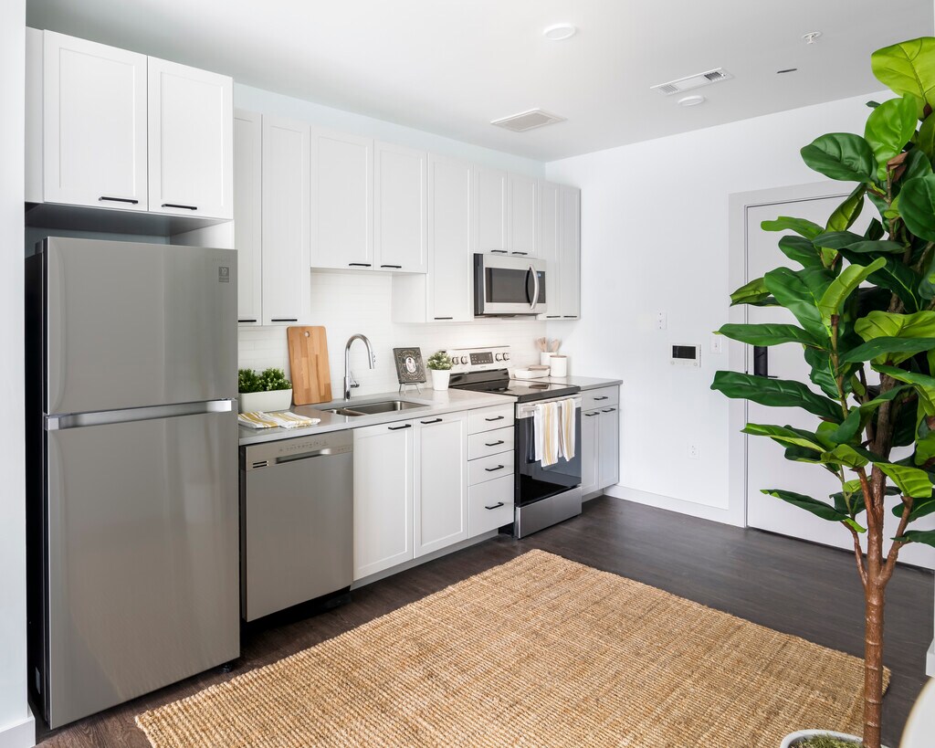 Dwell 85 Bridgewater, MA Apartments